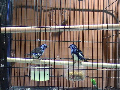 2011 119.jpg