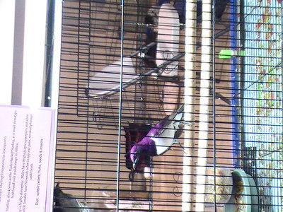 2011 122.jpg