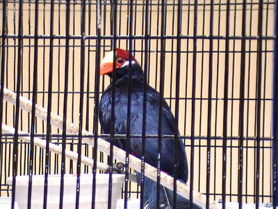 2011 124.jpg