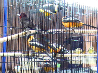 2011 120.jpg