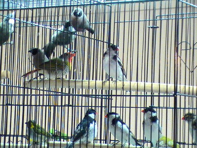 2011 116.jpg