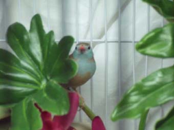 female RCCB Oct 11.jpg