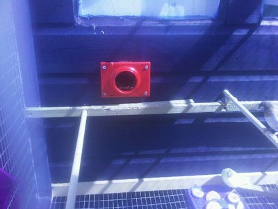 Nestbox entrance