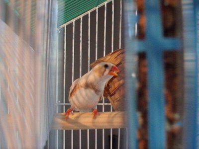 was told that this is the male