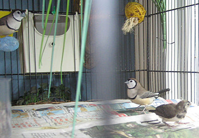 July112011a.jpg