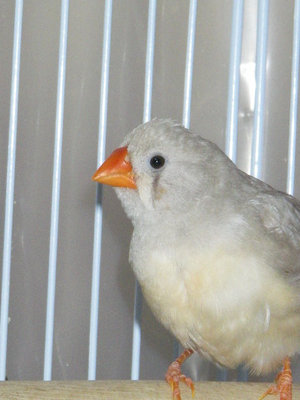 20110120_3.JPG