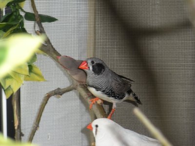 DSCN1122.JPG