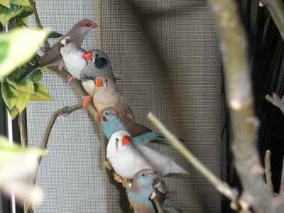 Some of &quot;The gang&quot;...
