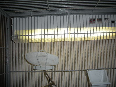 This shows the light ziptied onto the back of the cage.