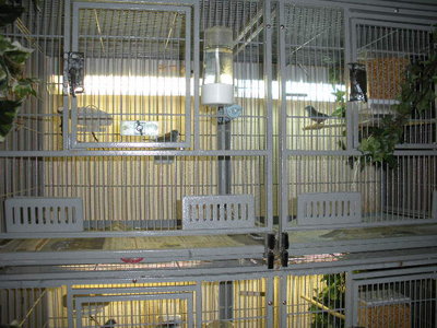 This shows the front of each cage.