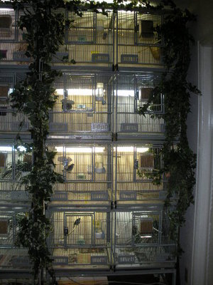 This is my BCCB Tower.  Couldn't get both towers in one photo.