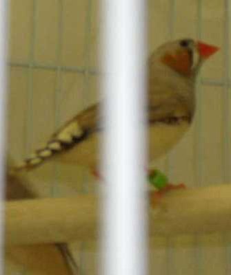 7-27 dad's tail.jpg