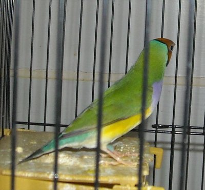 DSCN0001.JPG
