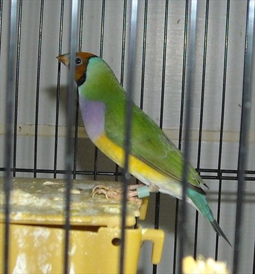DSCN0009.JPG