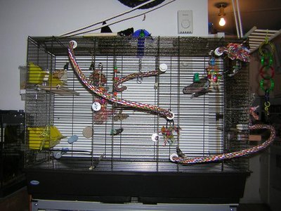 cage.JPG