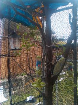the blue tarp is held by clips I bought at Home Depot.