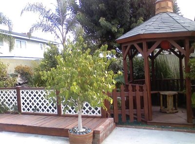 gazebo.jpg