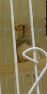 possible bb pic 3.jpg