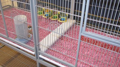 IMG_1185.jpg