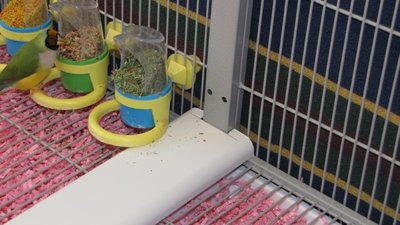 IMG_1187.jpg