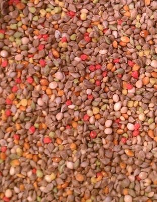 9-26 seed mix.jpg