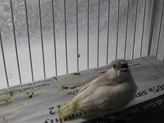 Baby 1.jpg