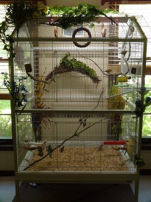possible cage set up.jpg