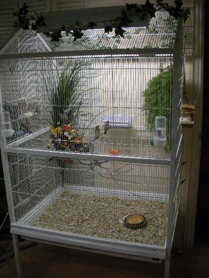 Prevue flight cage.