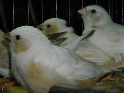 DSCN0008.JPG