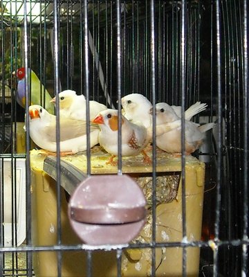 DSCN0005.JPG