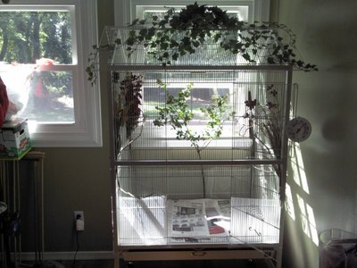 Flight Cage 2.jpg