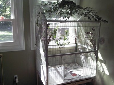 Flight Cage 3.jpg