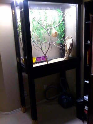 Aviary3.jpg