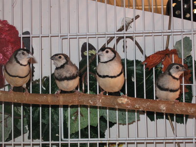 Family portrait 012.JPG