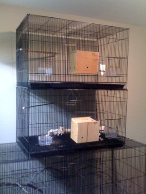 breedercage.jpg