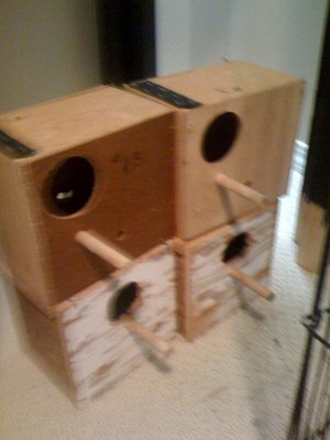 nestboxes.jpg
