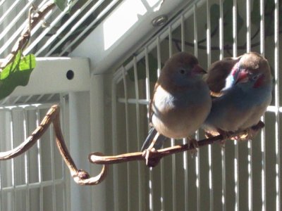 20111023 i don't think you're listening.jpg