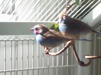 20111023 sunshine.jpg