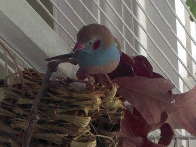 20111023 posing.jpg