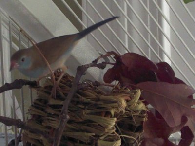 20111023 and mine.jpg