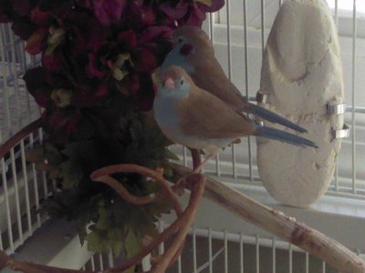 20111023 mates.jpg