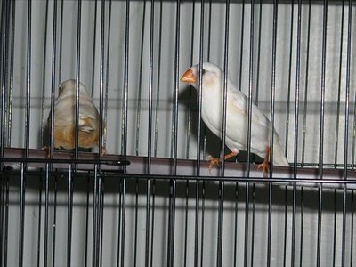 DSCN0008.JPG