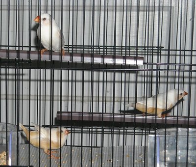 DSCN0009.JPG