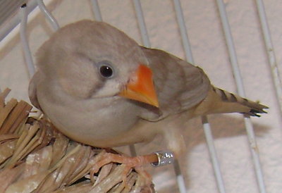 DSC04025.JPG