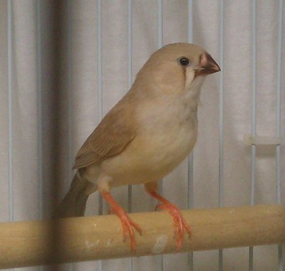 IMAG0437-1.jpg