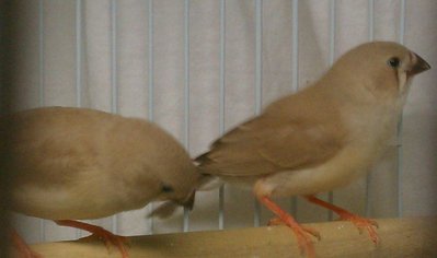 IMAG0438-1-1.jpg