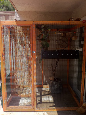 aviary-sample.jpg
