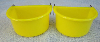 double d cups.jpg