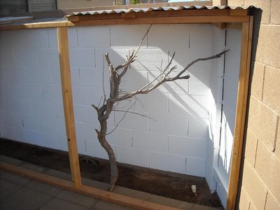 branchstand.jpg